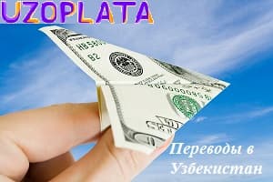 O'zbekistonga dollar yuborish.
